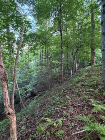 Lot 59 Quiet Mountain Trail Murphy NC 28906