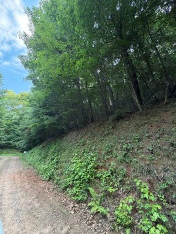 Lot 59 Quiet Mountain Trail Murphy NC 28906