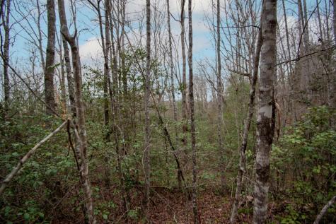 Lot 6 Posey Place Murphy NC 28906