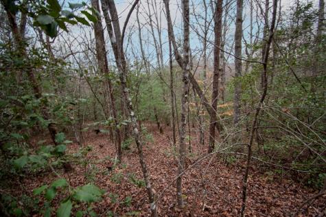 Lot 6 Posey Place Murphy NC 28906