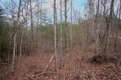 Lot 38 Posey Place Murphy NC 28906