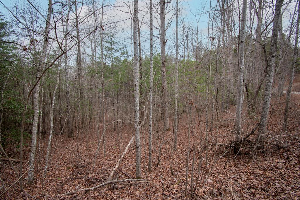 Lot 38 Posey Place Murphy NC 28906