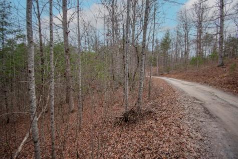 Lot 38 Posey Place Murphy NC 28906