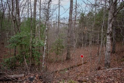 Lot 38 Posey Place Murphy NC 28906