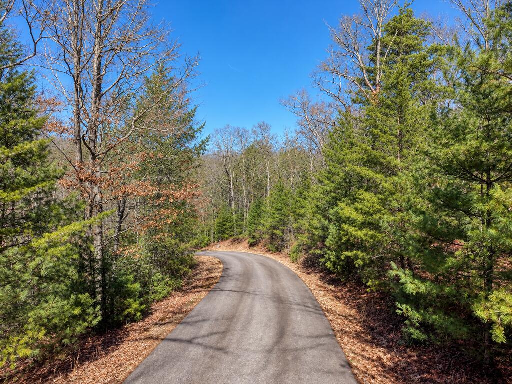 Lot 40 Lola Mae Way Morganton GA 30560