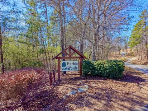 Lot 40 Lola Mae Way Morganton GA 30560
