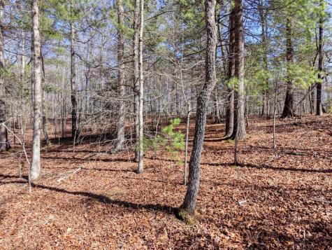Lot 40 Lola Mae Way Morganton GA 30560