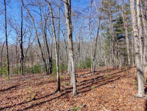 Lot 40 Lola Mae Way Morganton GA 30560