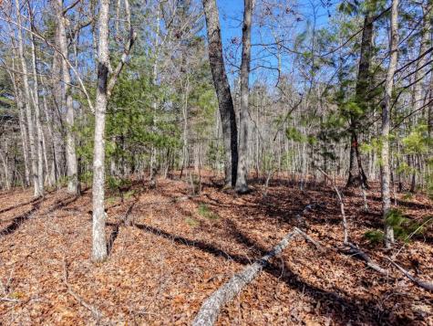 Lot 40 Lola Mae Way Morganton GA 30560
