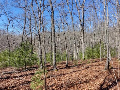 Lot 40 Lola Mae Way Morganton GA 30560