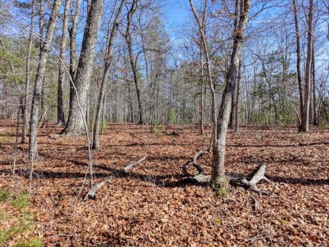 Lot 40 Lola Mae Way Morganton GA 30560