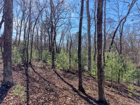 Lot 40 Lola Mae Way Morganton GA 30560