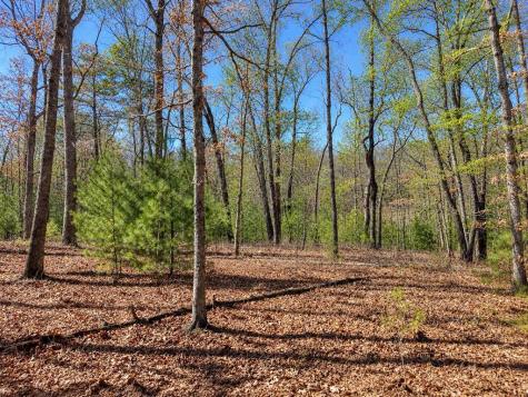 Lot 40 Lola Mae Way Morganton GA 30560
