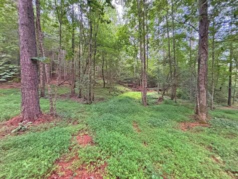 20AC Yonder Way Talking Rock GA 30175