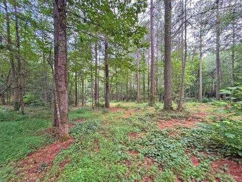 20AC Yonder Way Talking Rock GA 30175