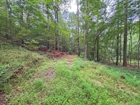 20AC Yonder Way Talking Rock GA 30175
