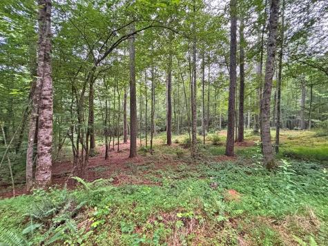 20AC Yonder Way Talking Rock GA 30175