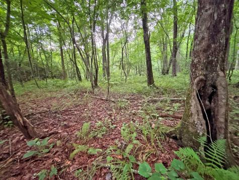 20AC Yonder Way Talking Rock GA 30175