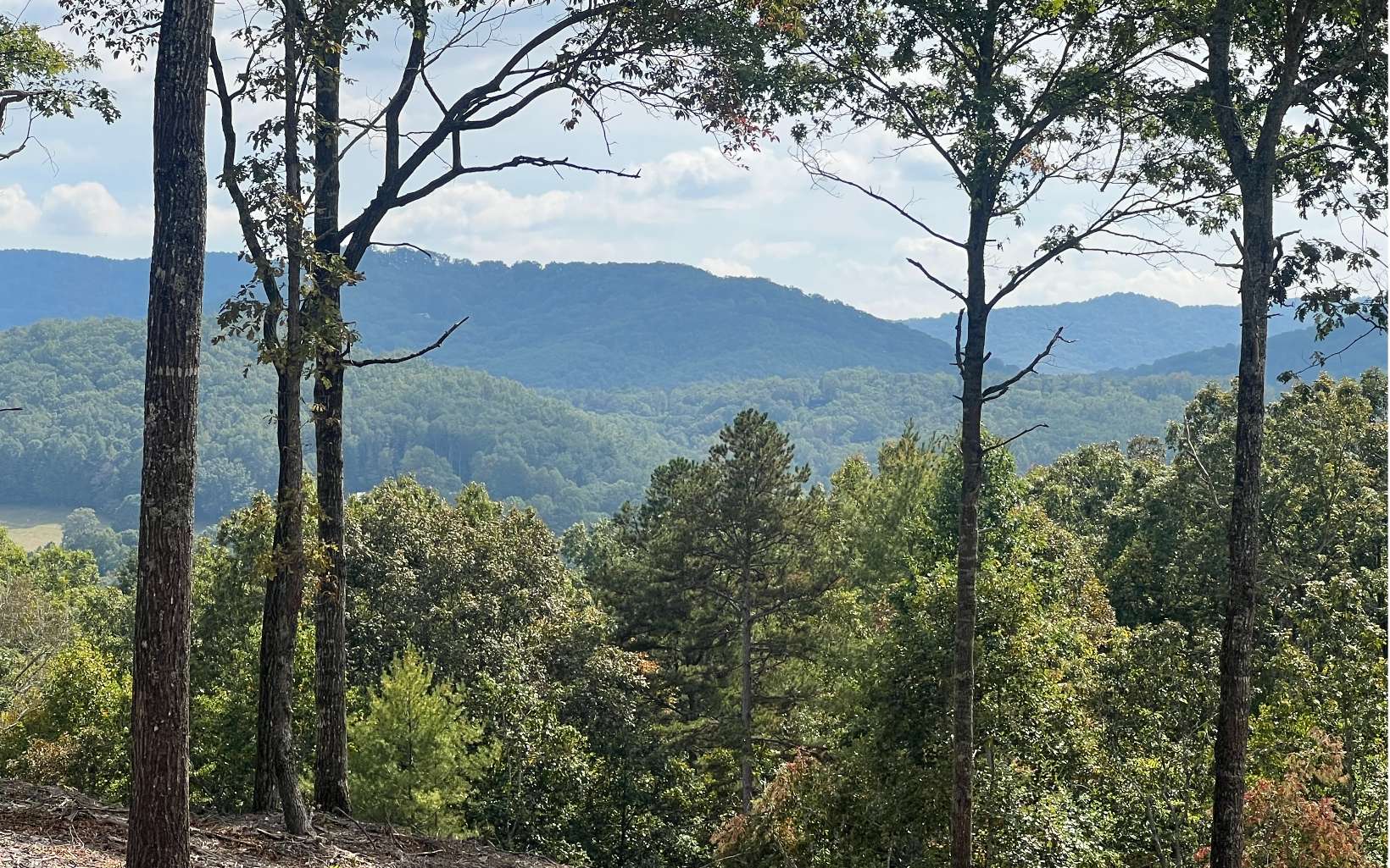 163 Ridges Of Blue Ridge Morganton GA 30560