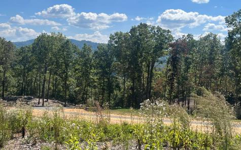 163 Ridges Of Blue Ridge Morganton GA 30560