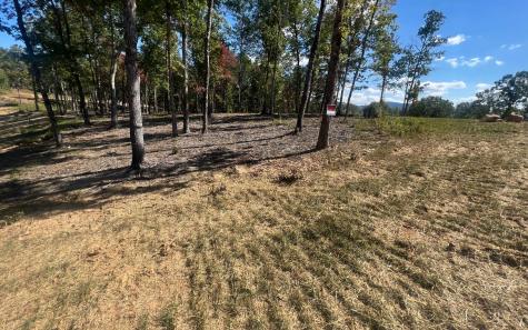 163 Ridges Of Blue Ridge Morganton GA 30560