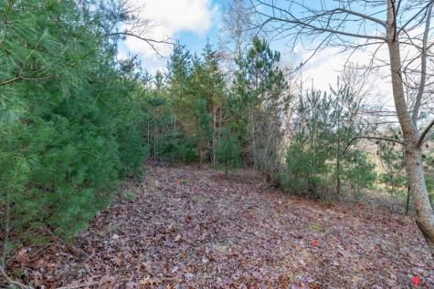 Lot 7 B & W Ranch Road Lot 7 Blairsville GA 30512