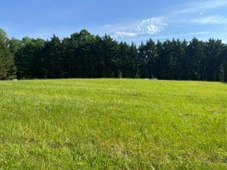 N/a Kiutuestia Creek Road Blairsville GA 30512