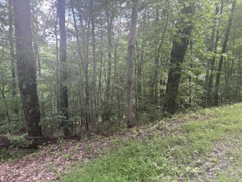 0 Wilderness Creek Way Murphy NC 20906