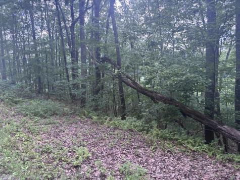 0 Wilderness Creek Way Murphy NC 20906