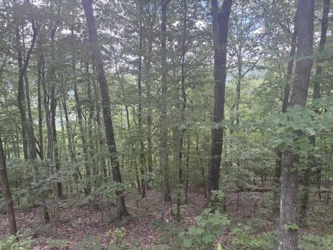 0 Wilderness Creek Way Murphy NC 20906