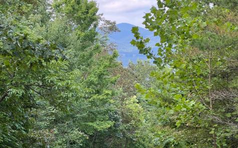 Lot 11 The Preserve At Beach Mountain Brasstown NC 28902