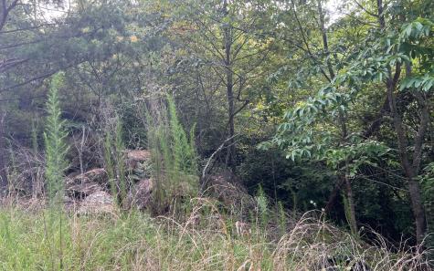 Lot 11 The Preserve At Beach Mountain Brasstown NC 28902