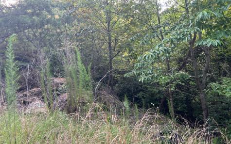 Lot 11 The Preserve At Beach Mountain Brasstown NC 28902