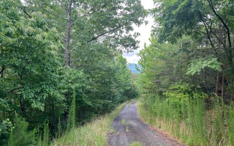 Lot 11 The Preserve At Beach Mountain Brasstown NC 28902