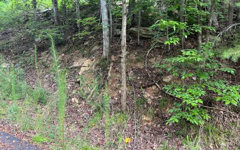 Lot 11 The Preserve At Beach Mountain Brasstown NC 28902