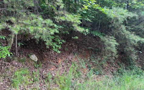 Lot 11 The Preserve At Beach Mountain Brasstown NC 28902