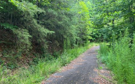 Lot 11 The Preserve At Beach Mountain Brasstown NC 28902