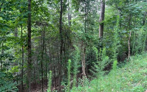 Lot 11 The Preserve At Beach Mountain Brasstown NC 28902