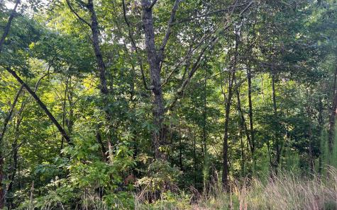 Lot 11 The Preserve At Beach Mountain Brasstown NC 28902