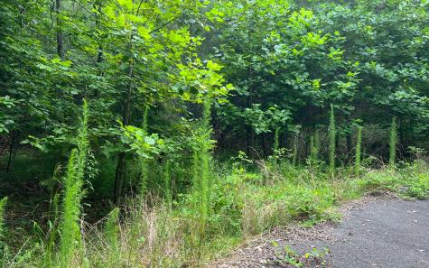 Lot 11 The Preserve At Beach Mountain Brasstown NC 28902