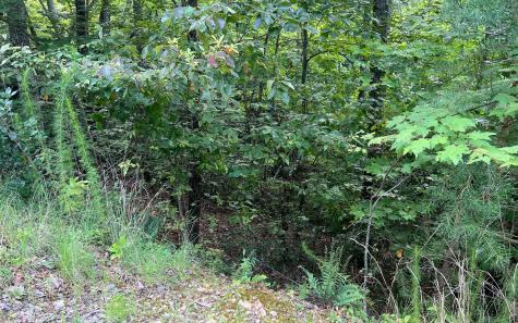 Lot 11 The Preserve At Beach Mountain Brasstown NC 28902