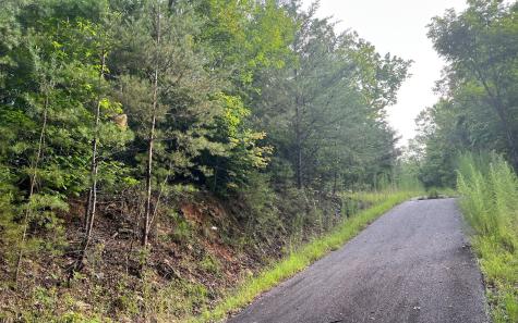 Lot 11 The Preserve At Beach Mountain Brasstown NC 28902