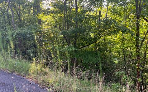 Lot 11 The Preserve At Beach Mountain Brasstown NC 28902