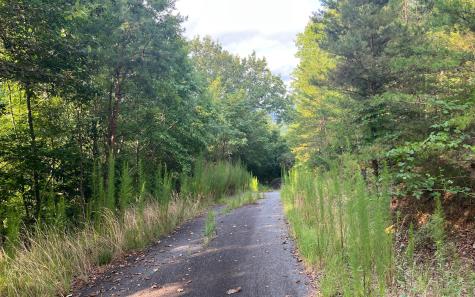 Lot 11 The Preserve At Beach Mountain Brasstown NC 28902