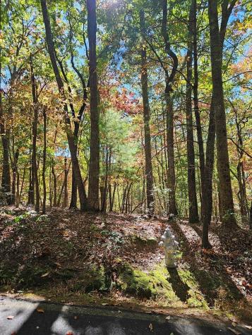 383 Teaberry Lane Big Canoe GA 30143