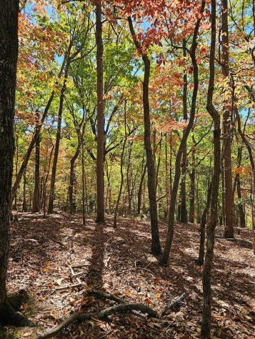 383 Teaberry Lane Big Canoe GA 30143