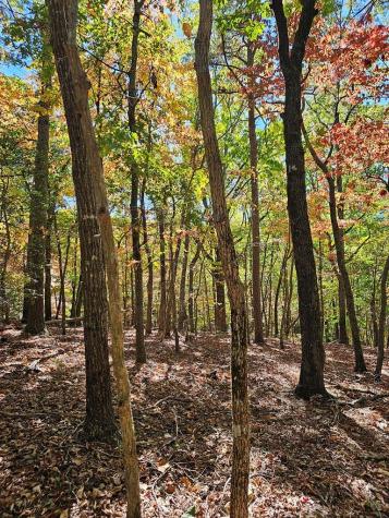 383 Teaberry Lane Big Canoe GA 30143