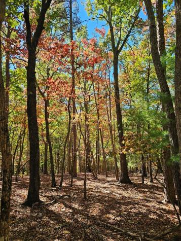 383 Teaberry Lane Big Canoe GA 30143