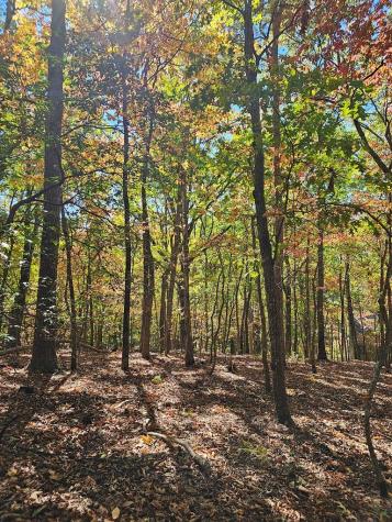 383 Teaberry Lane Big Canoe GA 30143