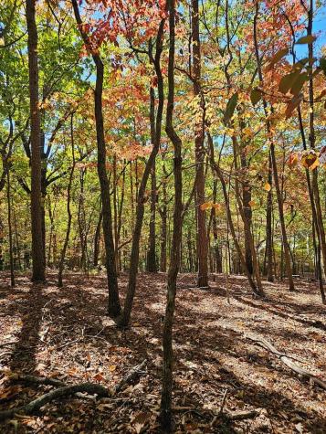 383 Teaberry Lane Big Canoe GA 30143